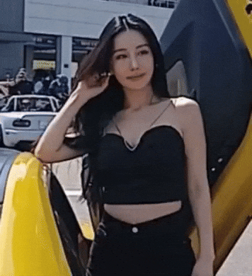 Model GIF