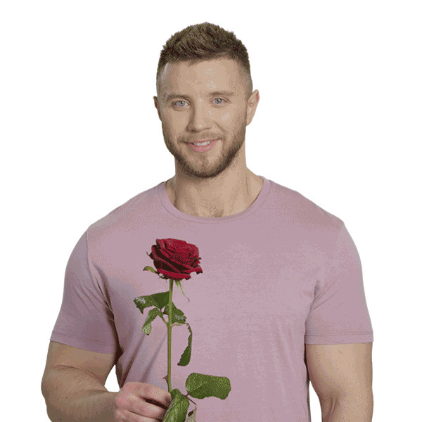 Flower Rose Sticker by STB