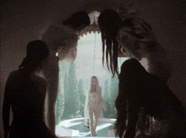 Dance Meow GIF by MEOVV
