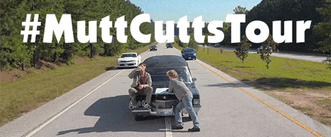 jim carrey harry dunne GIF by Dumb and Dumber To