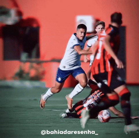 Bahiadaresenha GIF