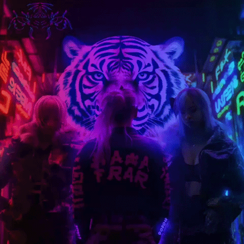 Clubbing Girls Night Out GIF by Raja The Tiger
