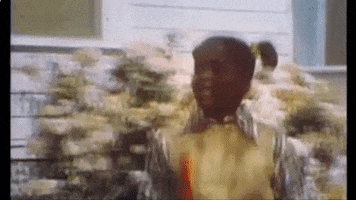 Whats Happening Dee GIF