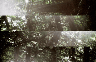 Art GIF