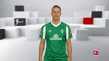 Werder Bremen What GIF by Bundesliga