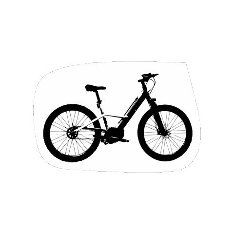 Benjamin Radior Bike Sticker