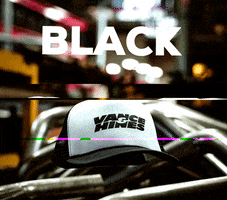 Blackfriday GIF by Vance and Hines