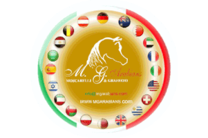 Sticker by mgarabians