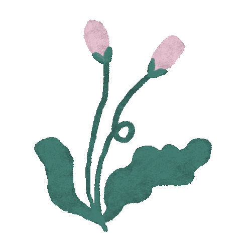 Flowers Love Sticker