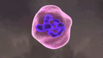 Virus Violet GIF