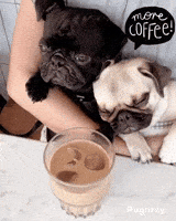Sleepy Coffee GIF