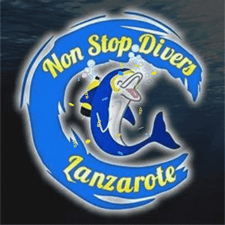 nonstopdivers GIF
