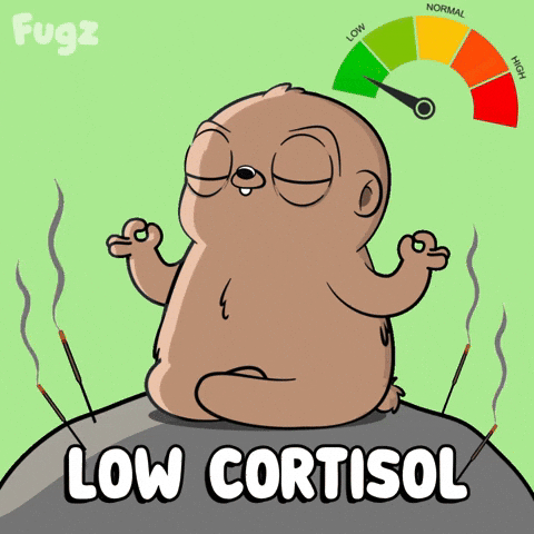 Relax Meditation GIF by Fugz Official