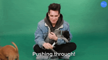 Pushing Through Brendon Urie GIF by BuzzFeed