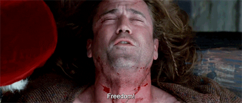 Braveheart Freedom GIFs - Get the best GIF on GIPHY