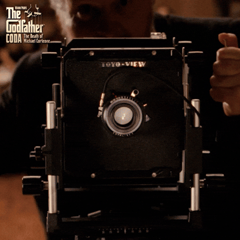 Picture Photo GIF by The Godfather
