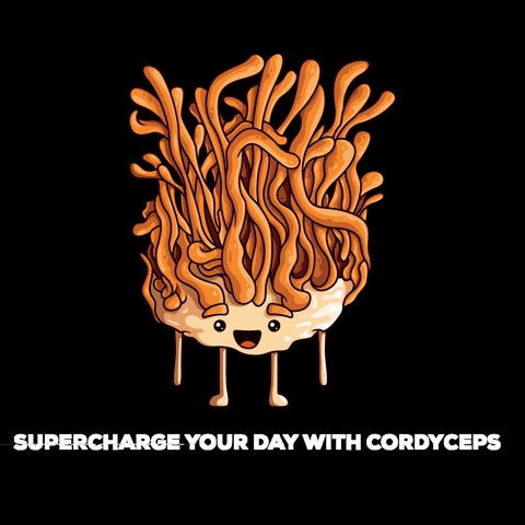 Fungies Mushroom Gummies GIF