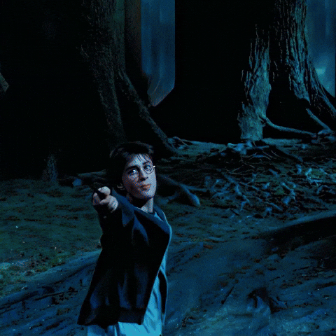 Harry Potter Uzb GIF