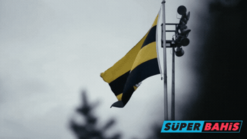 Alex Fb GIF by Süperbahis