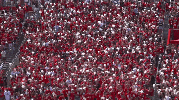 Riot Squad GIF by Rutgers Football