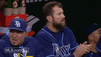 tampa bay rays clapping GIF by MLB