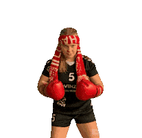 Lsv Sticker by Luener SV Handball