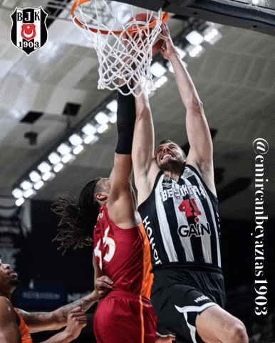 Ante Zizic GIF