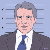 Ice Cream Fox GIF by gifnews