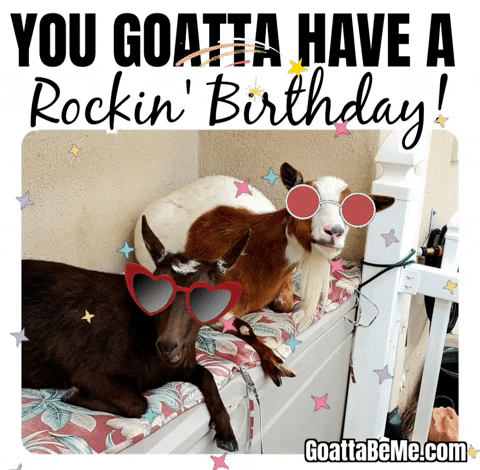 Happy Birthday GIF by Goatta Be Me Goats! Adventures of Pumpkin, Cookie and Java!