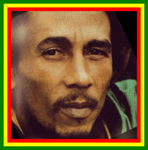 Stephem Marley GIFs - Get the best GIF on GIPHY