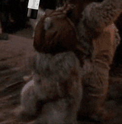Cw wine GIF