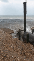 Sewage Water Pours Out of Pipe on Bexhill Beach