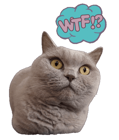 Surprise What Sticker