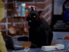 Organize Black Cat GIF by Industrial Workers of the World