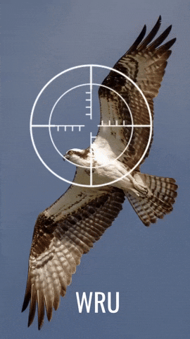 Wales Rugby Ospreys GIF by Exposed Tech