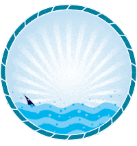 sailfleet Sticker