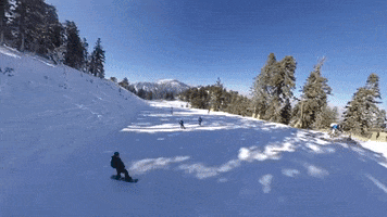 MT. HIGH GIF