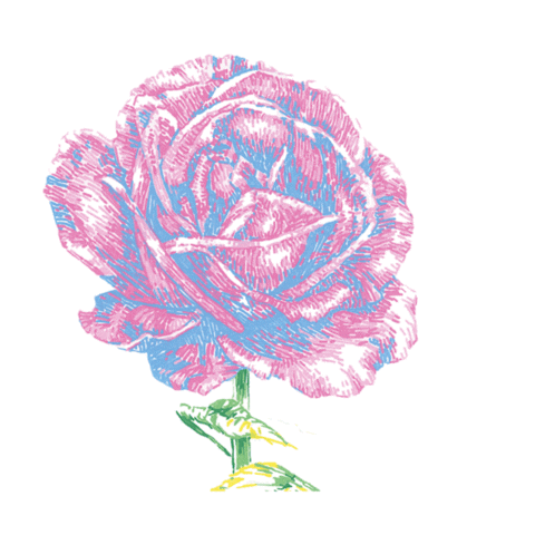 Flower Sticker by Sharif