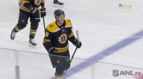Boston-bruins GIFs - Get the best GIF on GIPHY