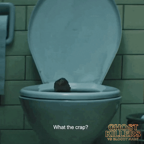 ravenbanner poop turd toilet raven banner GIF