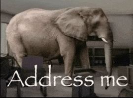 Elephant In The Room GIF