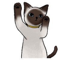 Cat Sticker