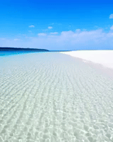 Traveling Summer Vacation GIF by Krystle Lina