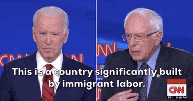 2020 Election Immigrants GIF by GIPHY News