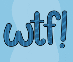 for real wtf GIF by beckadoodles