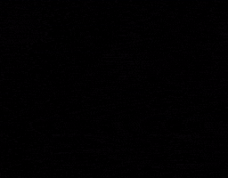 Lutheran Protestant GIF