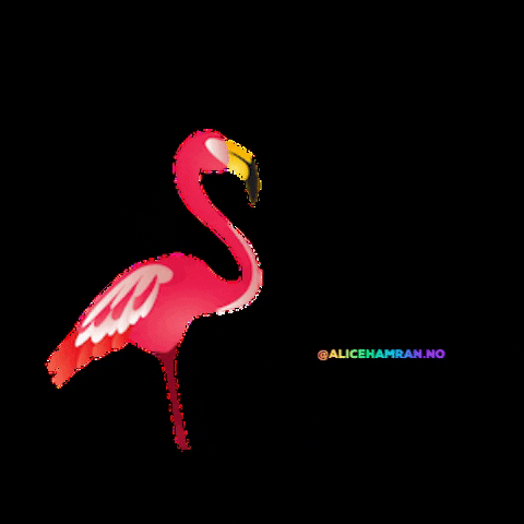 alicehamran.no GIF