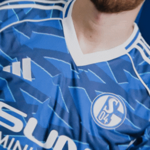 Football Soccer GIF by FC Schalke 04