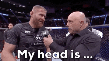 Confused Whats Going On GIF by UFC