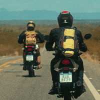 Moto Moto Madagascar GIF - Moto Moto Madagascar - Discover & Share GIFs